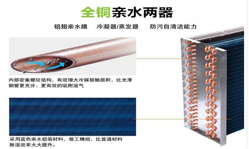 地下室倉庫使用除濕機，確保倉庫干燥無濕氣